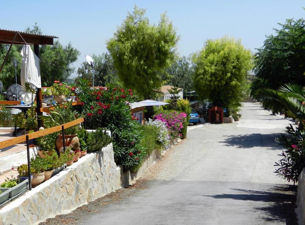 Camping Totana Park Εξωτερικό φωτογραφία
